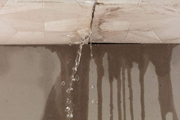 Professional Water Damage Repair technician working in Brandon, TX